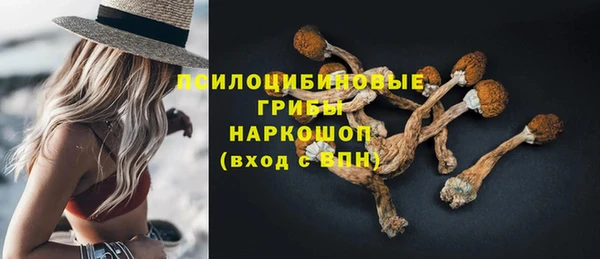 амф Нея