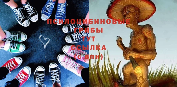 круглые Новодвинск