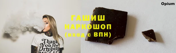 крисы Новокубанск