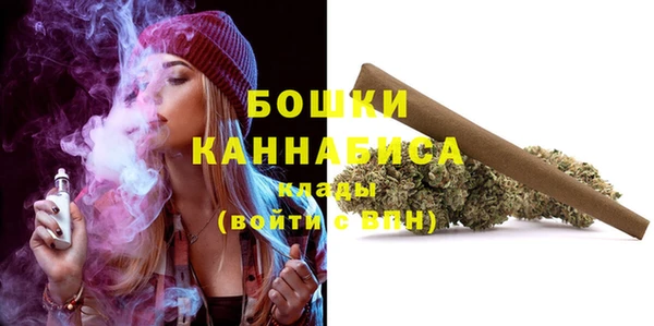 ECSTASY Богородицк