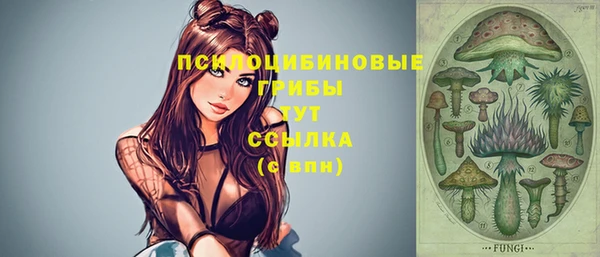 крисы Новокубанск